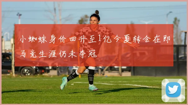 小蜘蛛身价回升至1亿今夏转会在即马竞生涯仍未夺冠