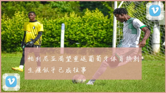 帕利尼亚渴望重返葡萄牙体育热刺生涯似乎已成往事