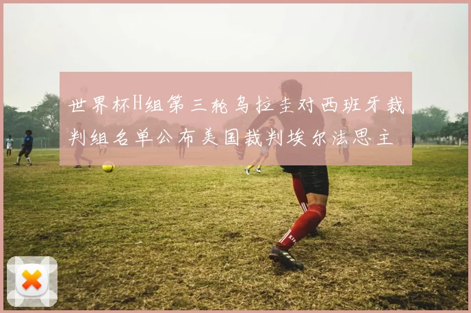 世界杯H组第三轮乌拉圭对西班牙裁判组名单公布美国裁判埃尔法思主裁判