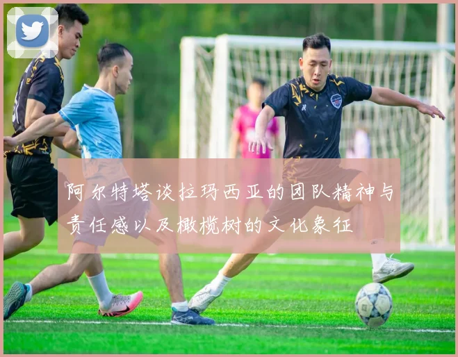 阿尔特塔谈拉玛西亚的团队精神与责任感以及橄榄树的文化象征